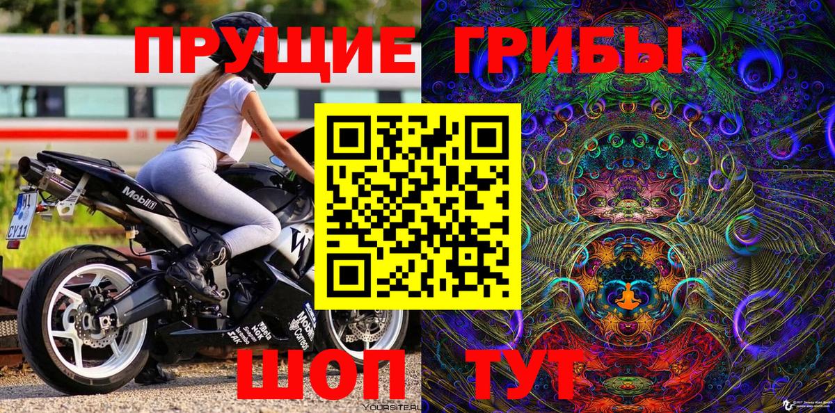 Псилоцибиновые грибы Psilocybine cubensis  где купить наркоту  Вход с VPN  Ликино-Дулёво  Псилоцибиновые грибы Psilocybine cubensis 